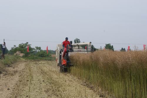 ������С DSC05021.JPG